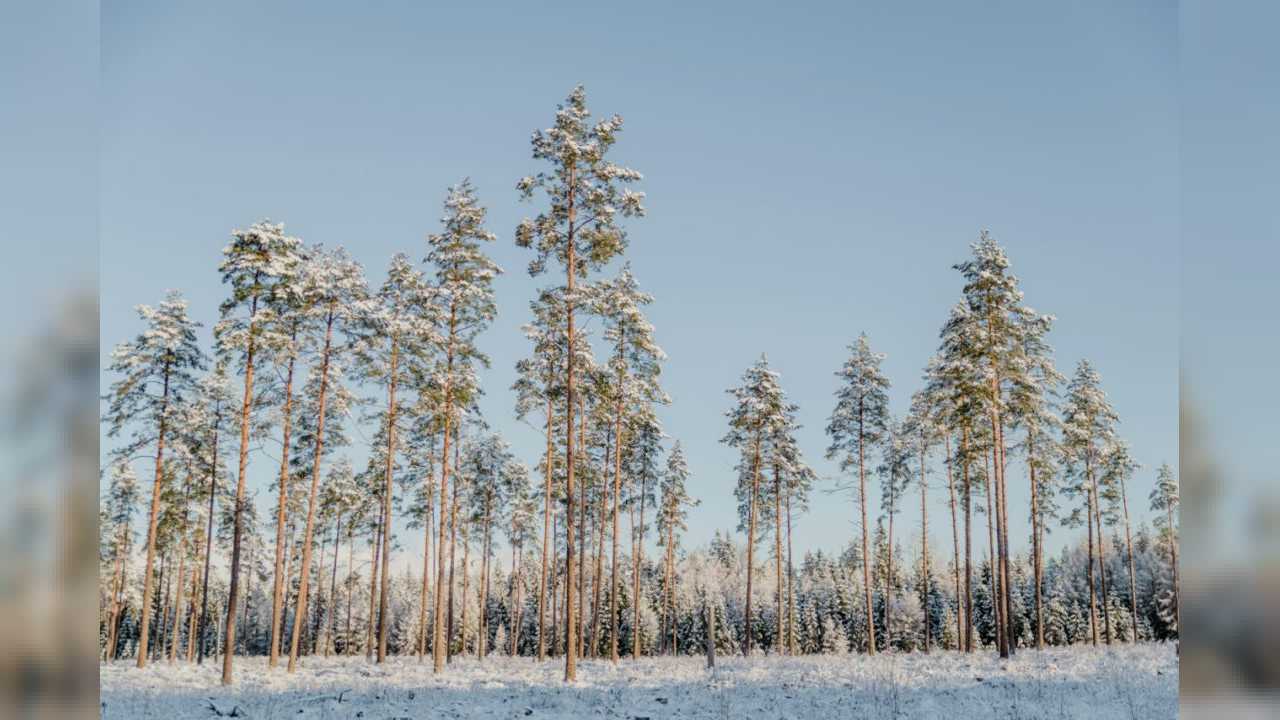 Animi alias vero maiores dolore qui.