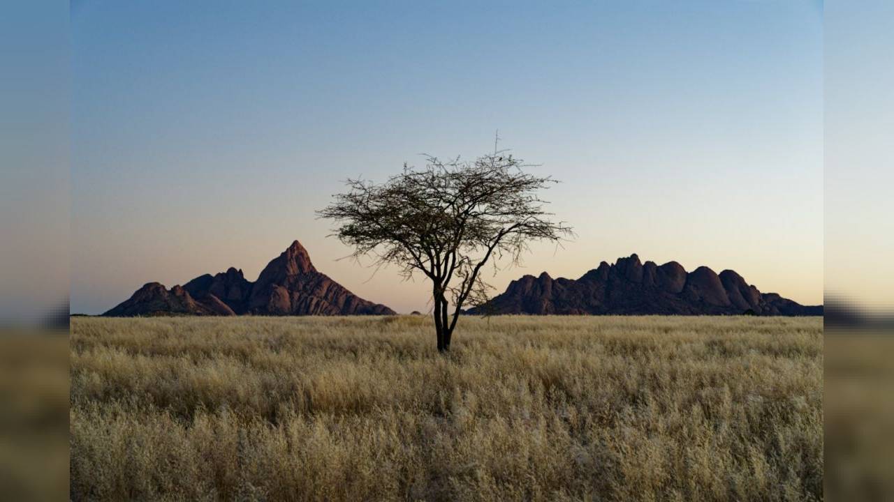 Concert Youssou N'Dour — complet