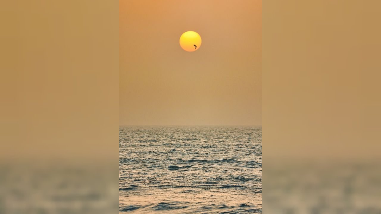 Rencontre Dakar